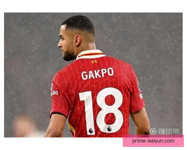 加克波本赛季进球数据持续提升，状态备受关注