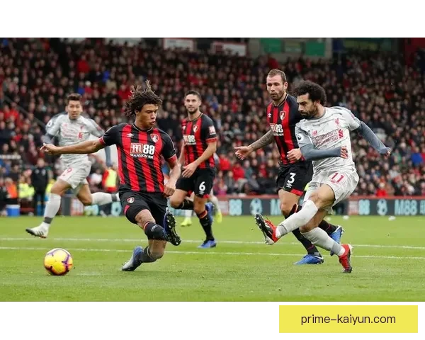 英超伯恩茅斯球迷抗议声浪不断，俱乐部管理层面临压力