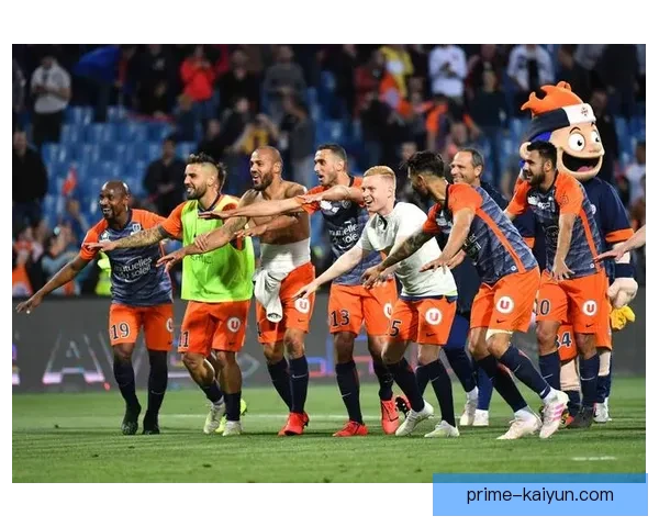 奥地利维也纳主场表现稳健，近期状态持续提升